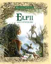 Elfii și alți luptători magici