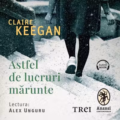 Astfel de lucruri mărunte (audiobook)