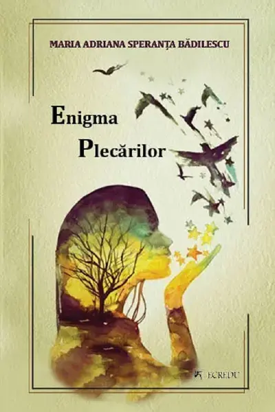 Enigma plecarilor
