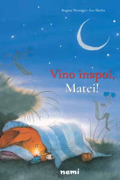 Vino înapoi, Matei!