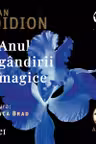 Anul gândirii magice (audiobook)
