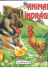Animale indragite - pliata