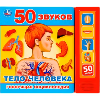 Тело человека (5 кн. 50 звуков)