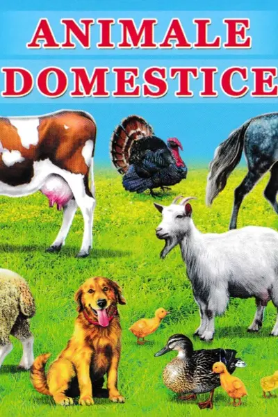 Carton animale domestice