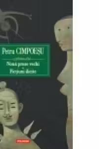 Noua proze vechi. Fictiuni ilicite
