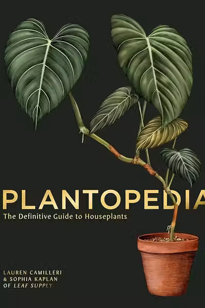 Plantopedia: The Definitive Guide to House Plants