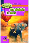 Cinci saptamani in balon