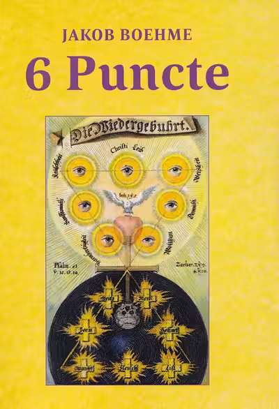 6 Puncte