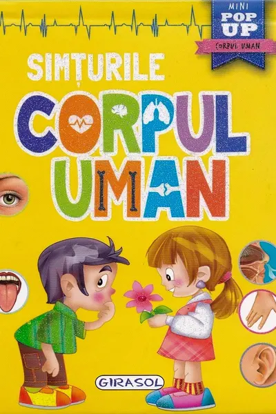 Corpul uman - Simturile