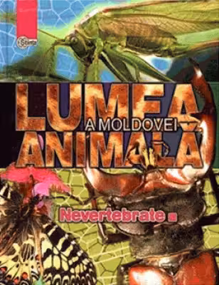 Lumea animala a Moldovei. Nevertebrate