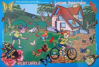 Set cu planșe: În lumea insectelor