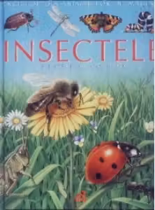 Insectele pe intelesul copiilor