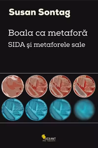 Boala ca metafora