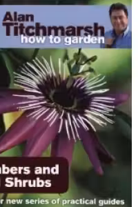 How To Garden - Climbers and Wall Shrubs