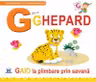 G de la ghepard. Necartonata - Greta Cencetti