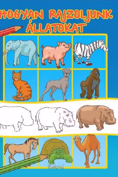 Hogyan rajzoljunk allatokat. Cum să desenăm animale