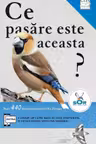 Ce pasare este aceasta?