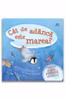 Cat de adanca este marea?