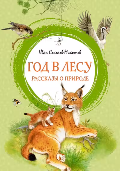 Год в лесу. Рассказы о природе