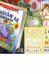 Invatam sa numaram carton