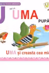 U de la Uma, pupaza. Necartonata - Greta Cencetti
