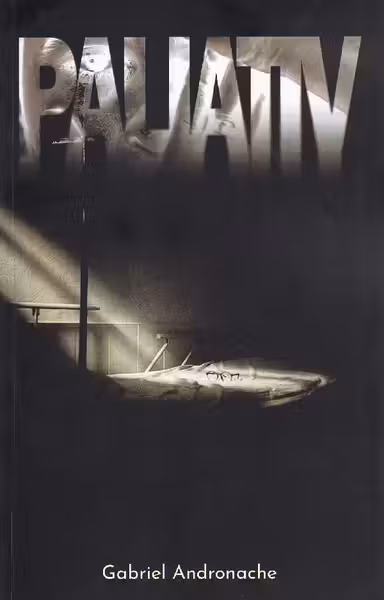paliativ