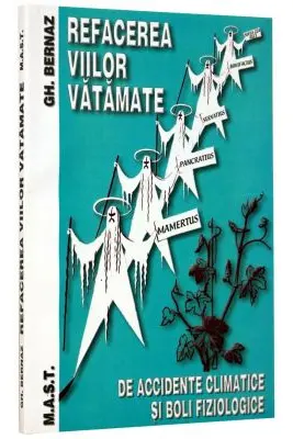 Refacerea viilor vatamate
