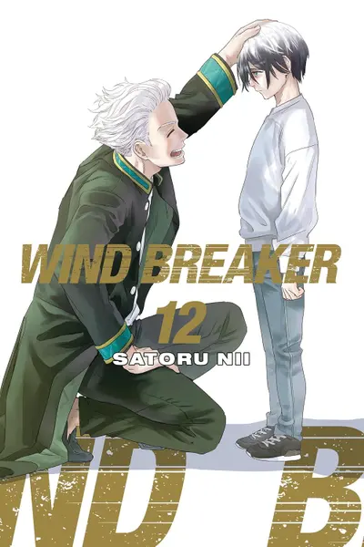 Wind Breaker - Volume 12