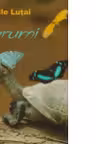 Karumi