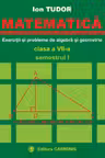 Matematică. Exerciții și probleme de algebră și geometrie - Clasa 7 - Semestrul 1