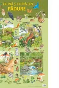 Plansa. Fauna si flora din padure