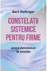 Constelatii sistematice pentru firme