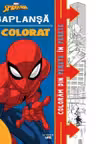 Megaplansa de colorat
