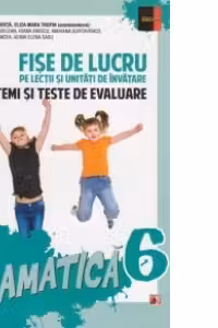 Gramatica Clasa a VI-a - Fise de lucru pe lectii si unitati de invatare cu itemi si teste de evaluare