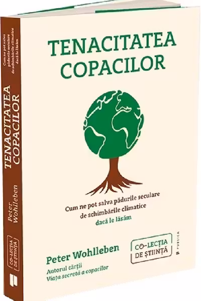 Tenacitatea copacilor