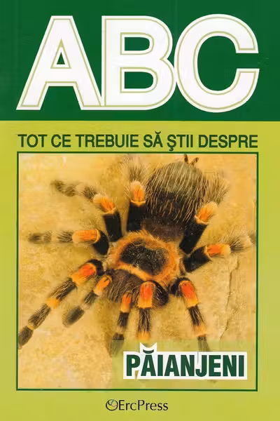 Abc tot ce trebuie să știi despre păianjeni