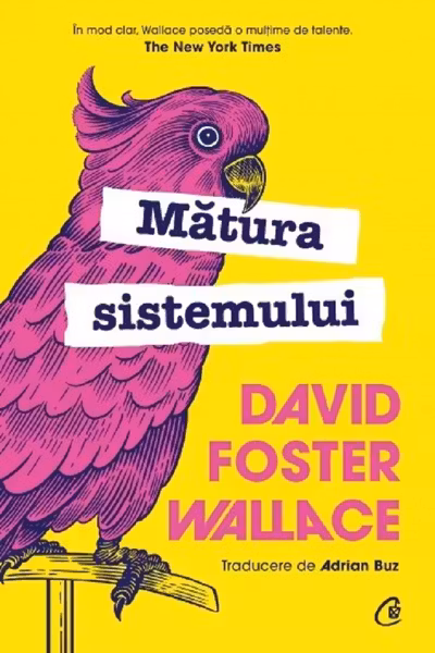 Matura sistemului