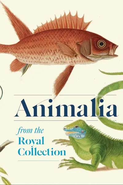 Animalia