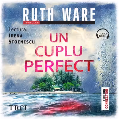 Un cuplu perfect (audiobook)
