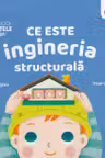 Ce este ingineria structurala