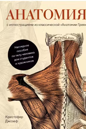 Анатомия (с иллюстрациями из классической «Анатомии Грея»)