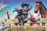 animale domestice
