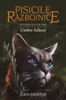 Pisicile Razboinice. Puterea celor trei. vol 17 Umbre Adanci