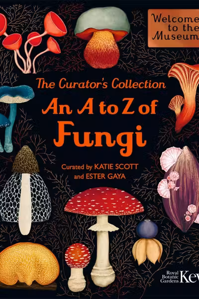 The Curator's Collection: An A to Z of Fungi