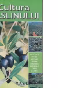 Cultura maslinului