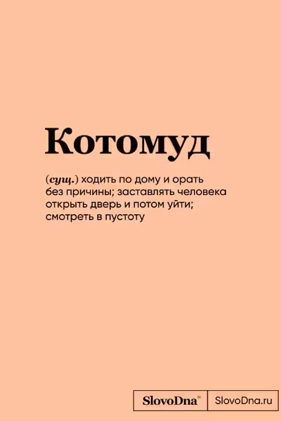 Блокнот SlovoDna. Котомуд