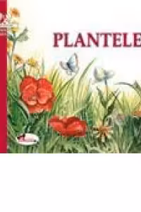 Plantele