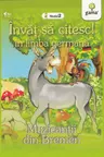 Invat sa citesc in limba germana! Muzicantii din Bremen. Nivelul 2