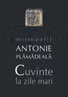 Cuvinte la zile mari