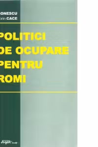 Politici de ocupare pentru romi